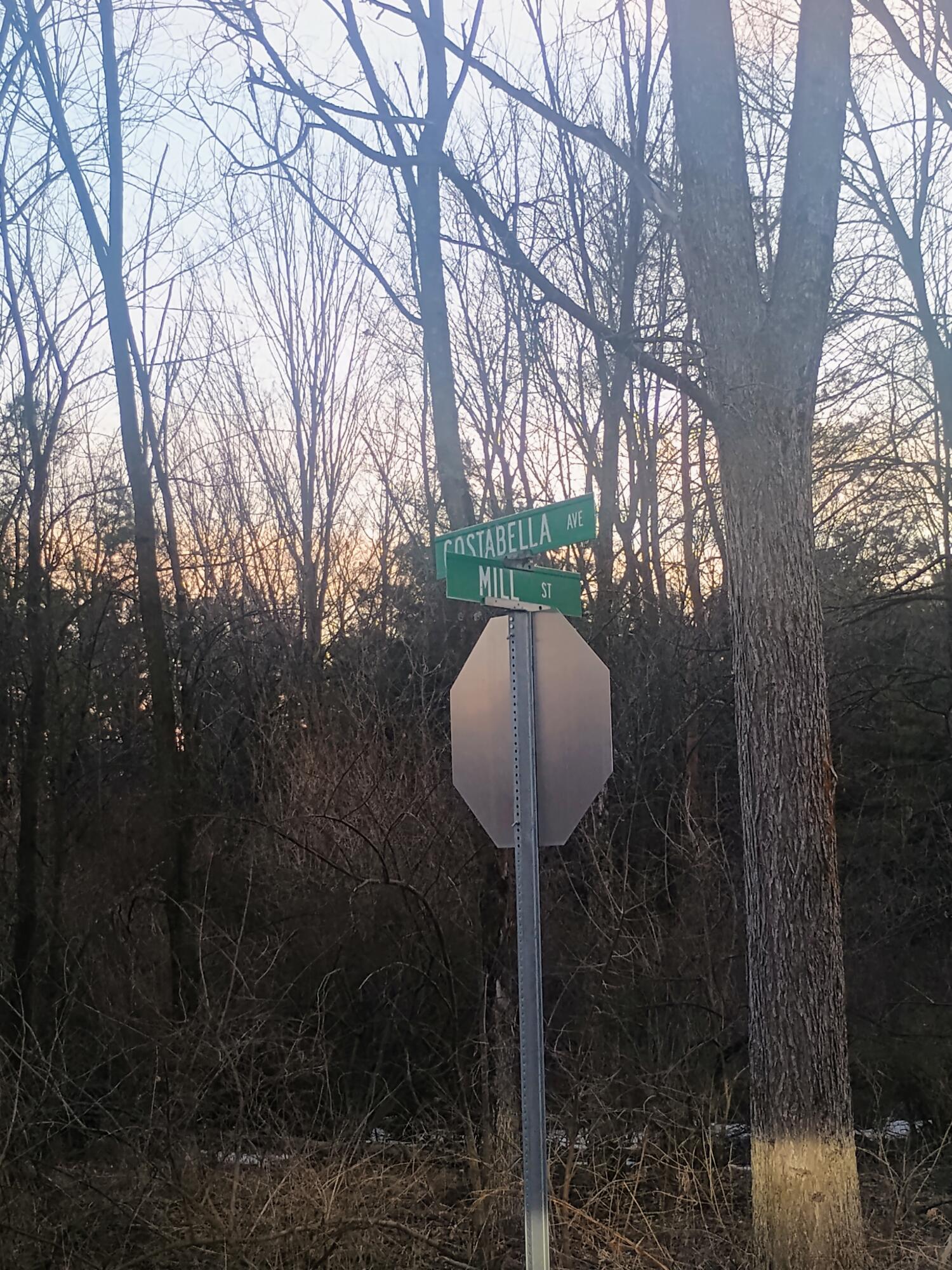 167 Mill Road Millbrook Township MI 49310