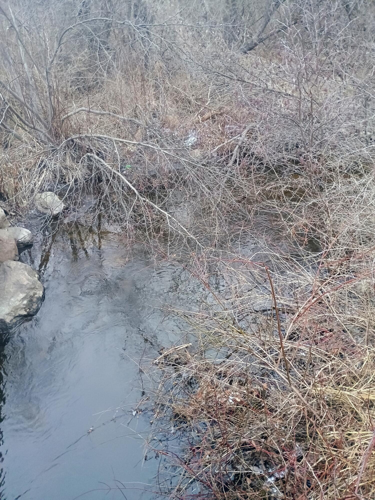 167 Mill Road Millbrook Township MI 49310