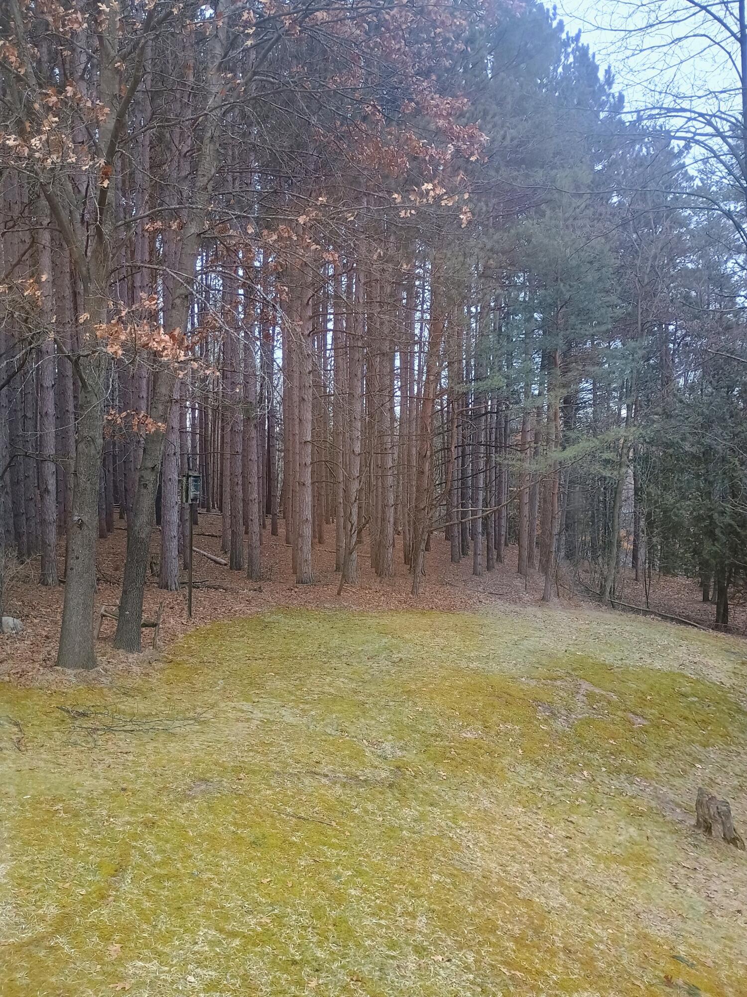 167 Mill Road Millbrook Township MI 49310