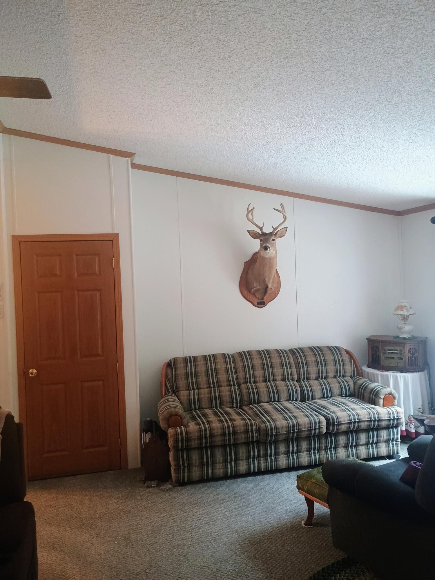 167 Mill Road Millbrook Township MI 49310