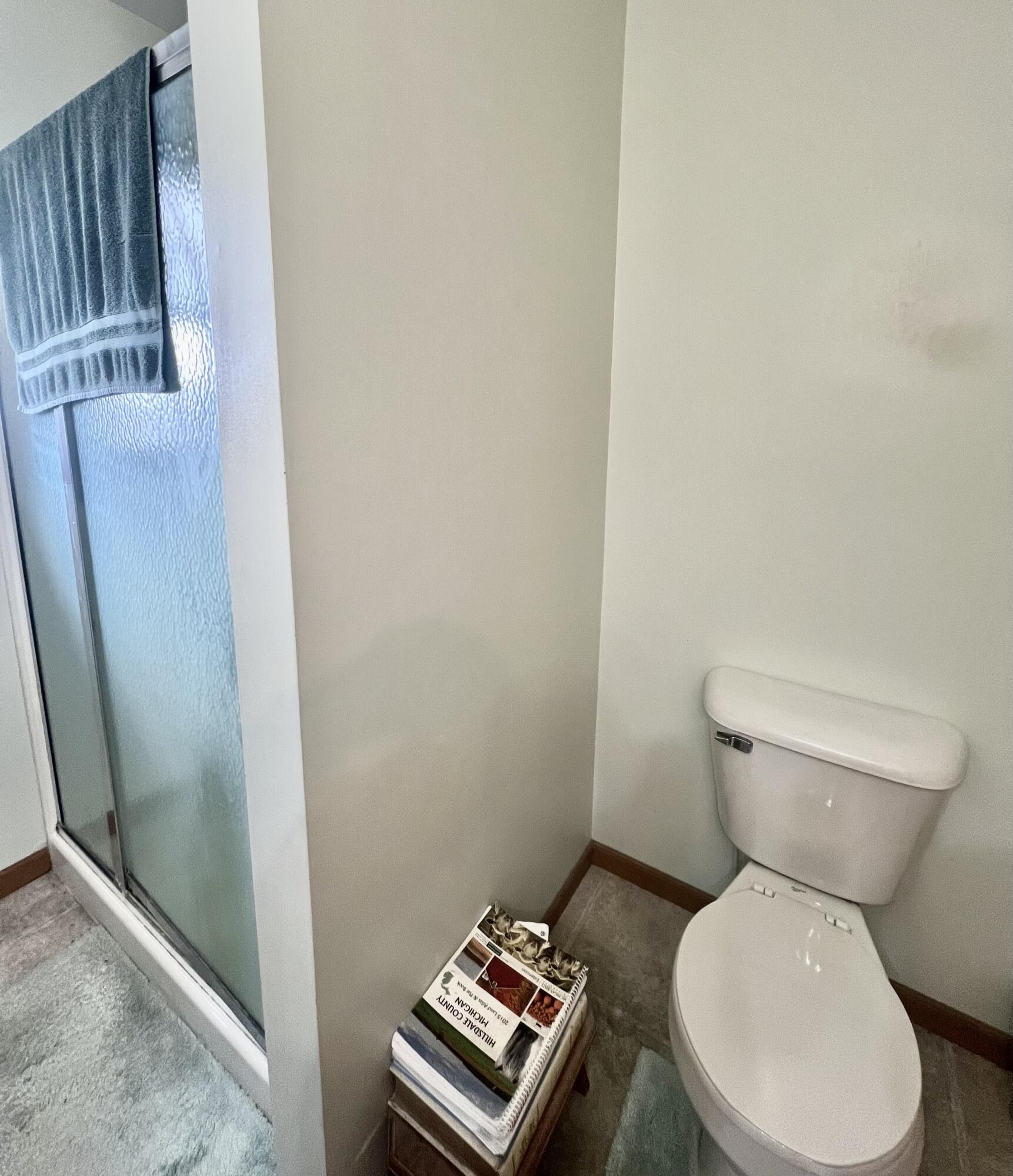 13091 S Bird Lake Road Amboy Township MI 49232