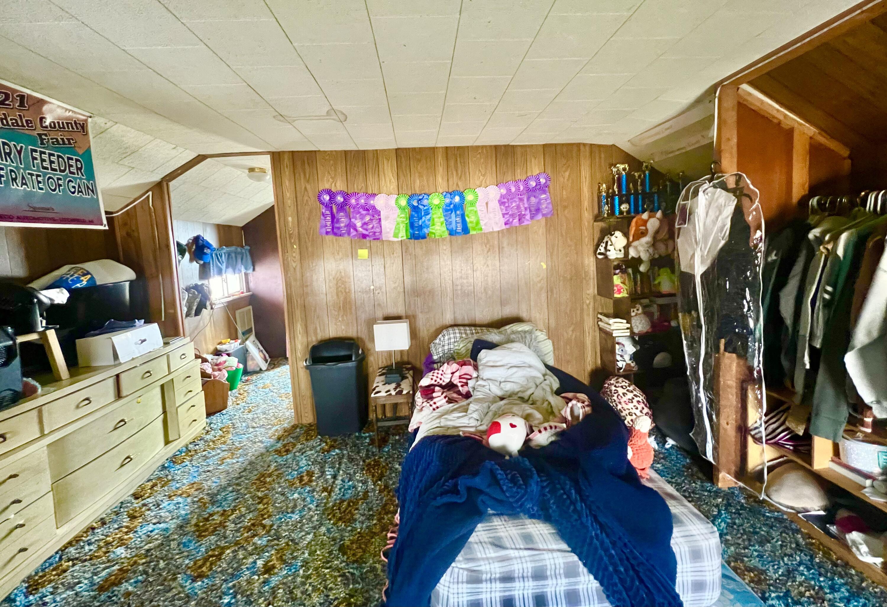 13091 S Bird Lake Road Amboy Township MI 49232