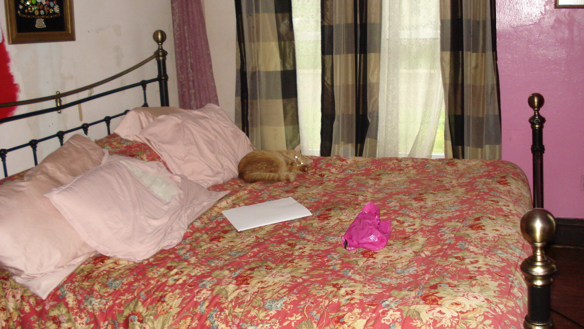 711 N Eaton Street Albion City MI 49224