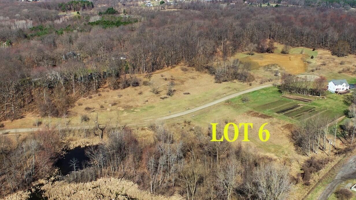 1924 Percy Lane Highland Charter Township MI 48357