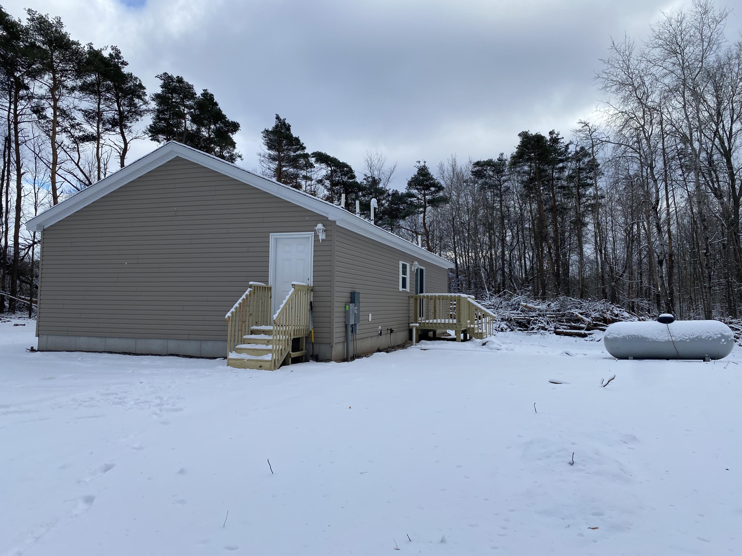 129 W 9th Street Aetna Township MI 49336