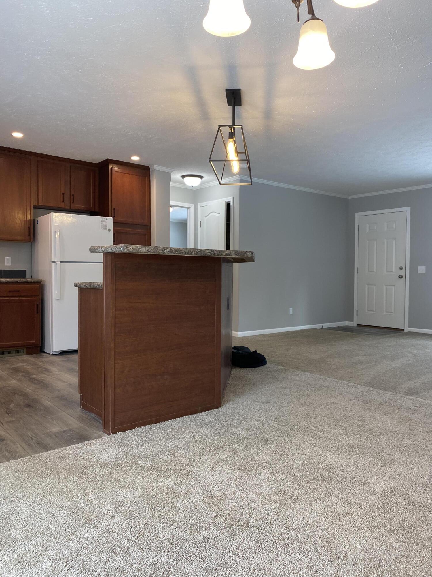 129 W 9th Street Aetna Township MI 49336