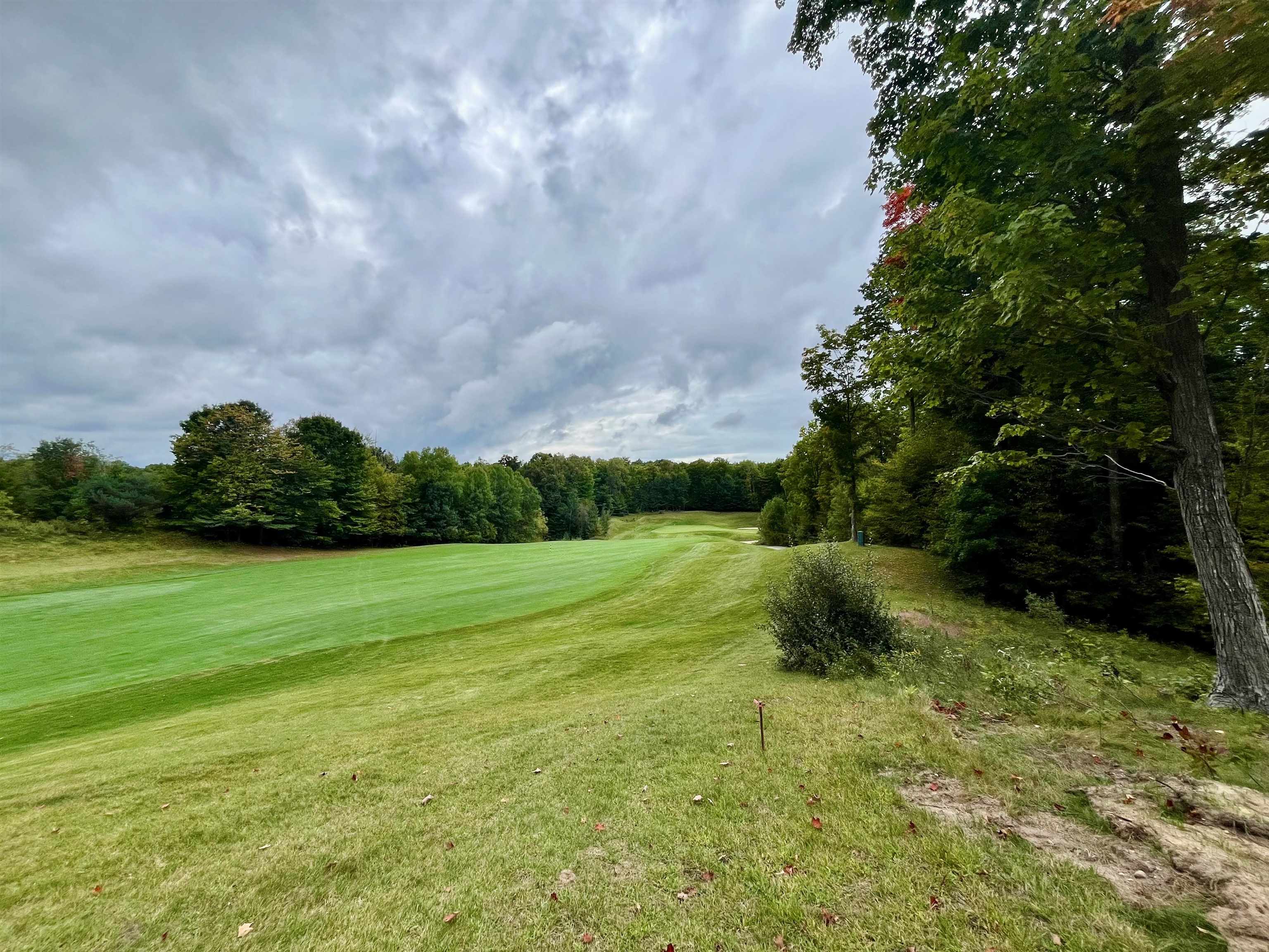 2215 Robinson Ridge Kearney Township MI 49615