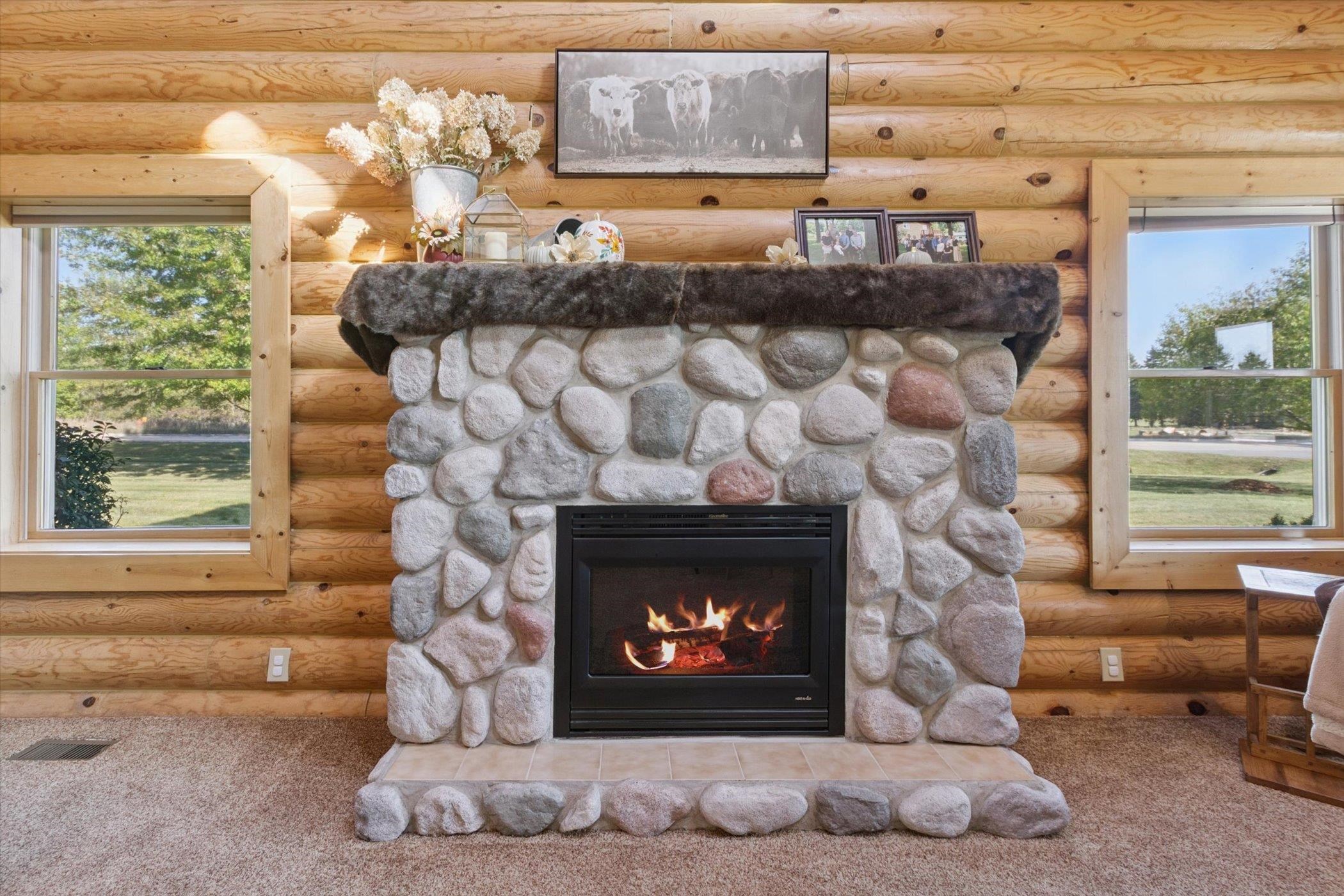 1510 Luce Court Alma City MI 48801