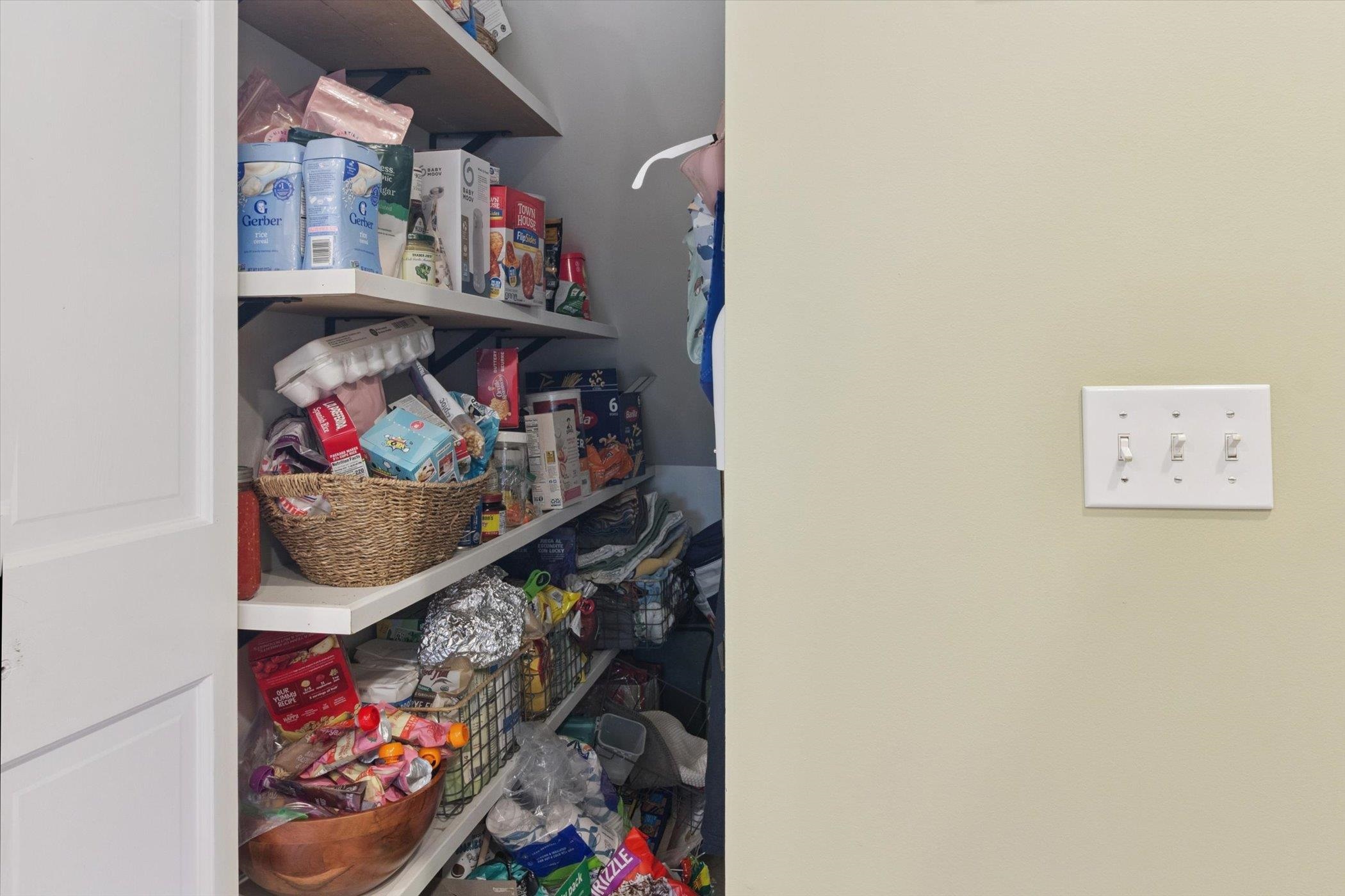 1510 Luce Court Alma City MI 48801