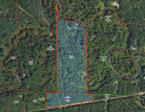 9670 S County Line Road Stronach Township MI 49660