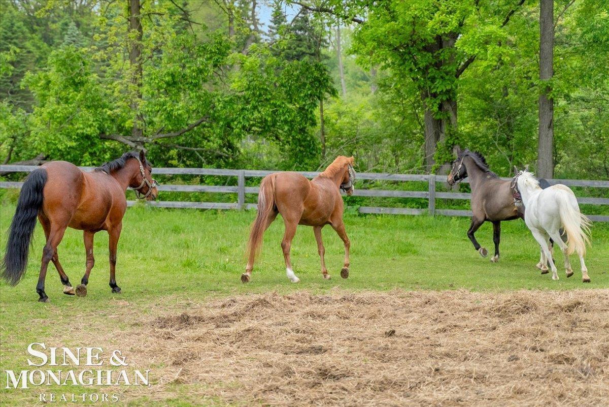 270 N Rochester Road Addison Township MI 48367