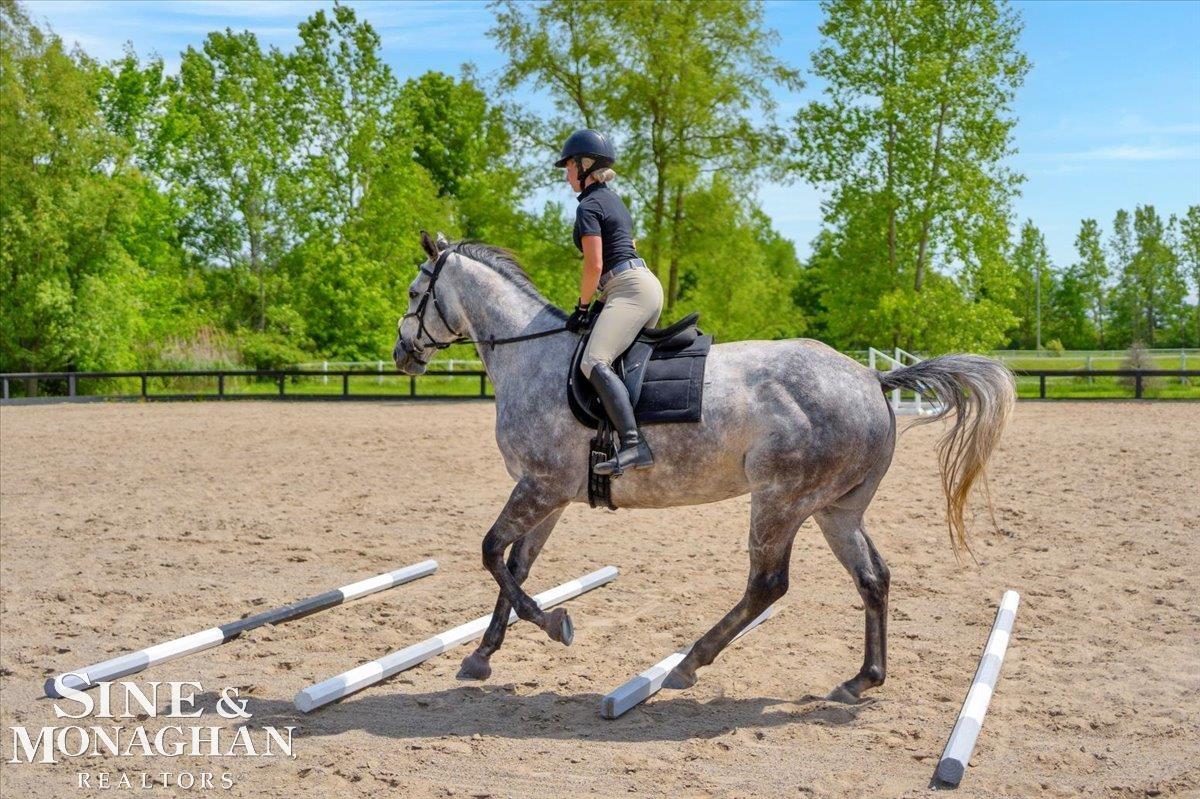 270 N Rochester Road Addison Township MI 48367