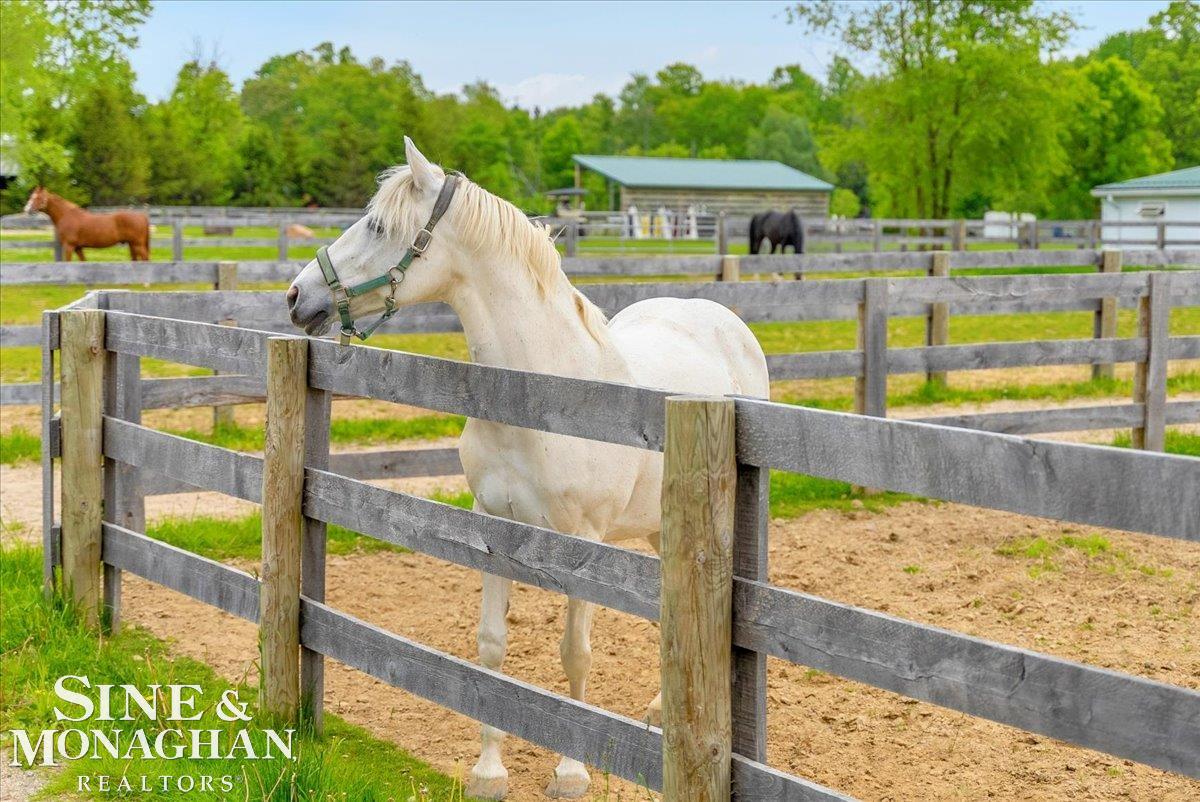 270 N Rochester Road Addison Township MI 48367