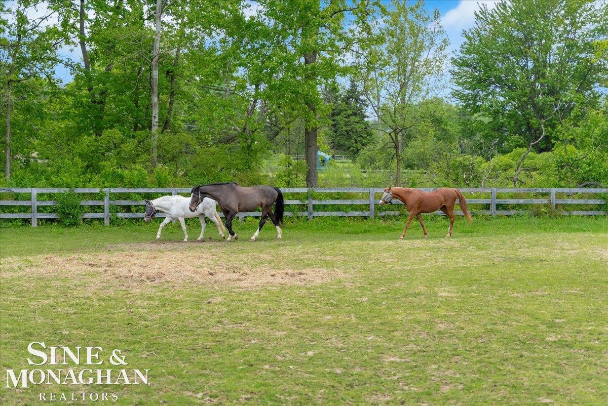 270 N Rochester Road Addison Township MI 48367