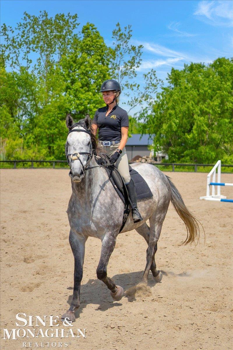 270 N Rochester Road Addison Township MI 48367