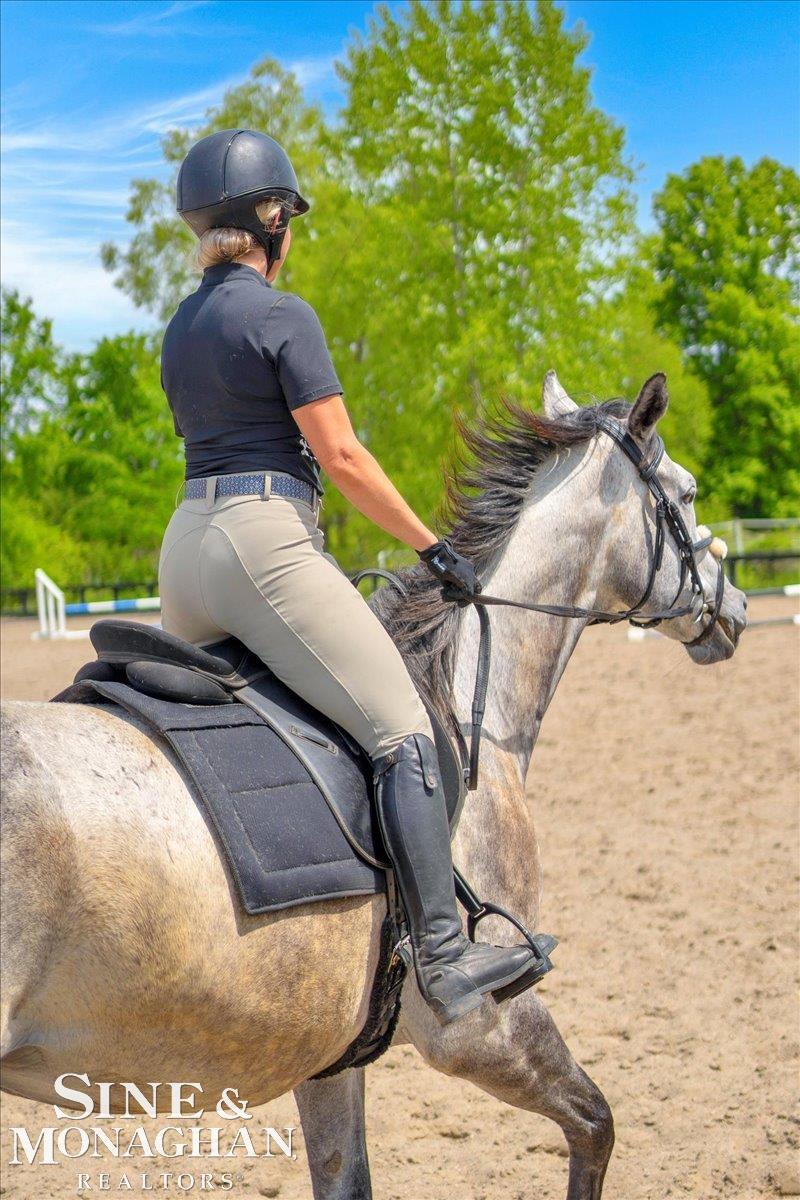 270 N Rochester Road Addison Township MI 48367