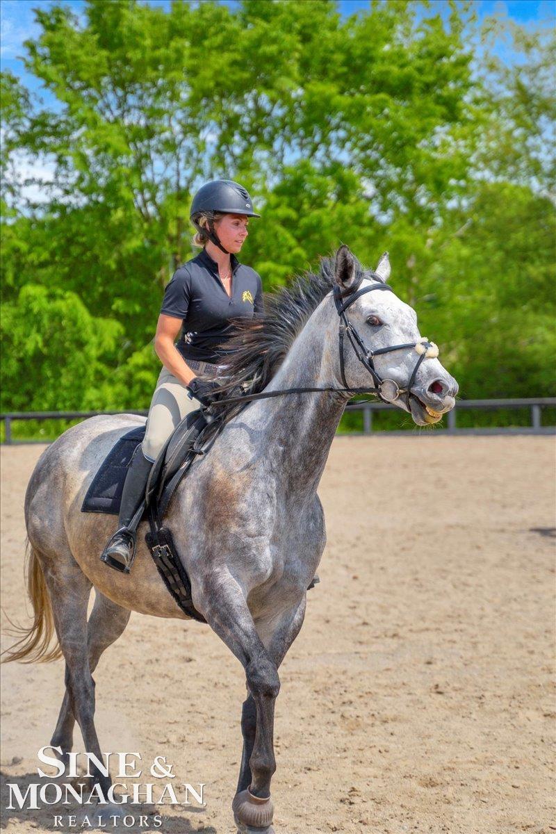 270 N Rochester Road Addison Township MI 48367