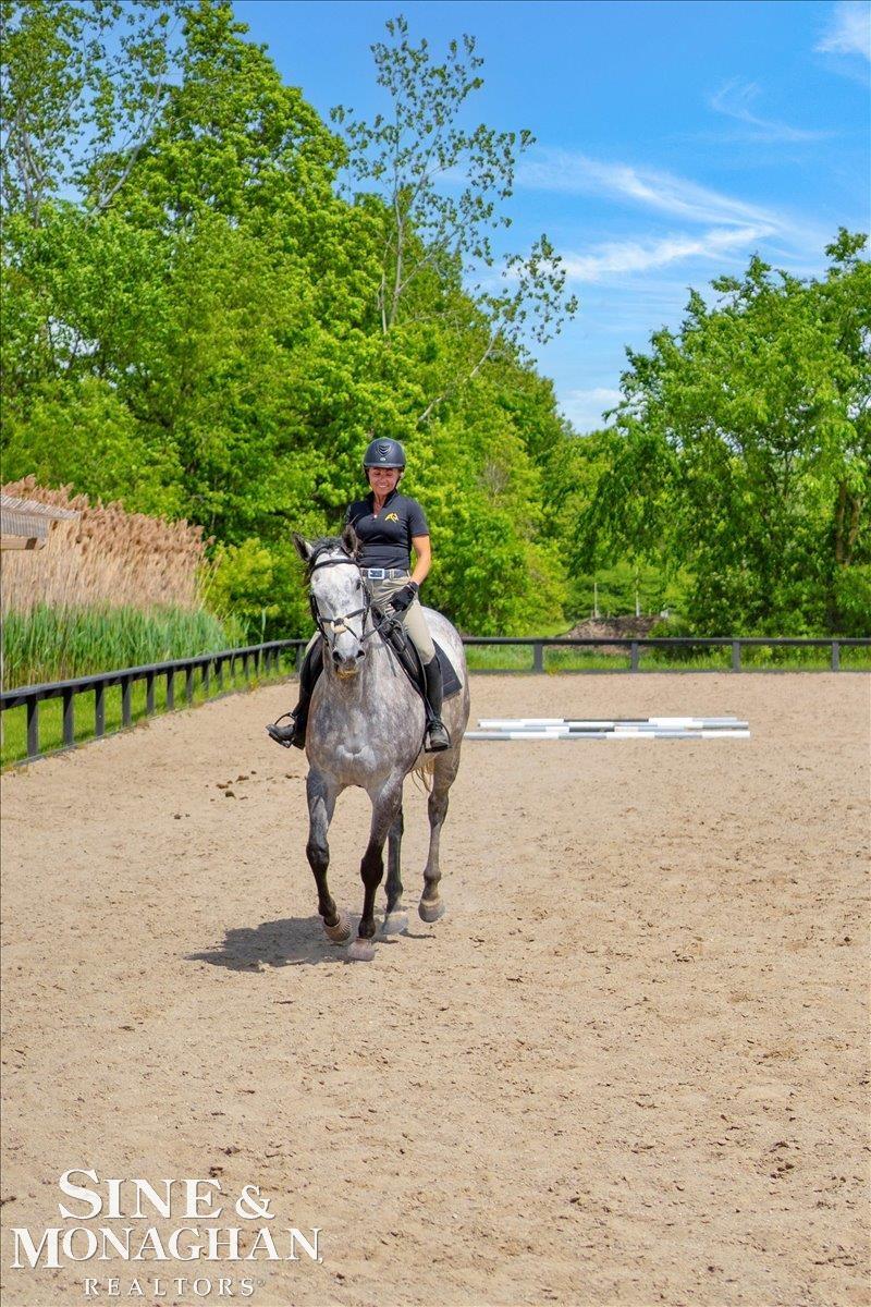 270 N Rochester Road Addison Township MI 48367