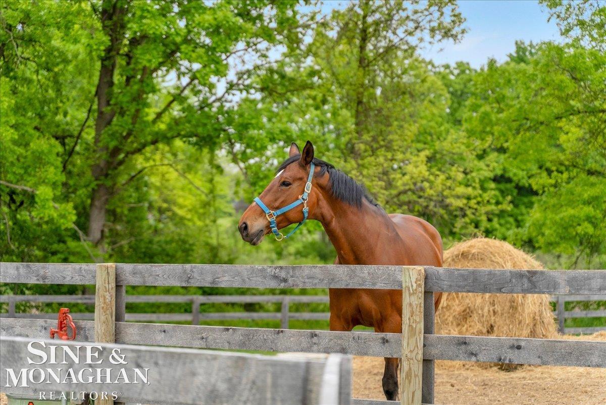 270 N Rochester Road Addison Township MI 48367