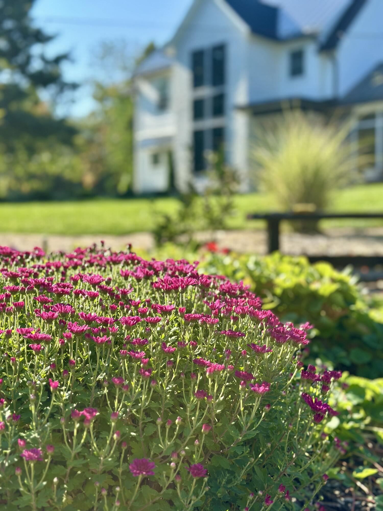 22942 M-43 Almena Township MI 49009