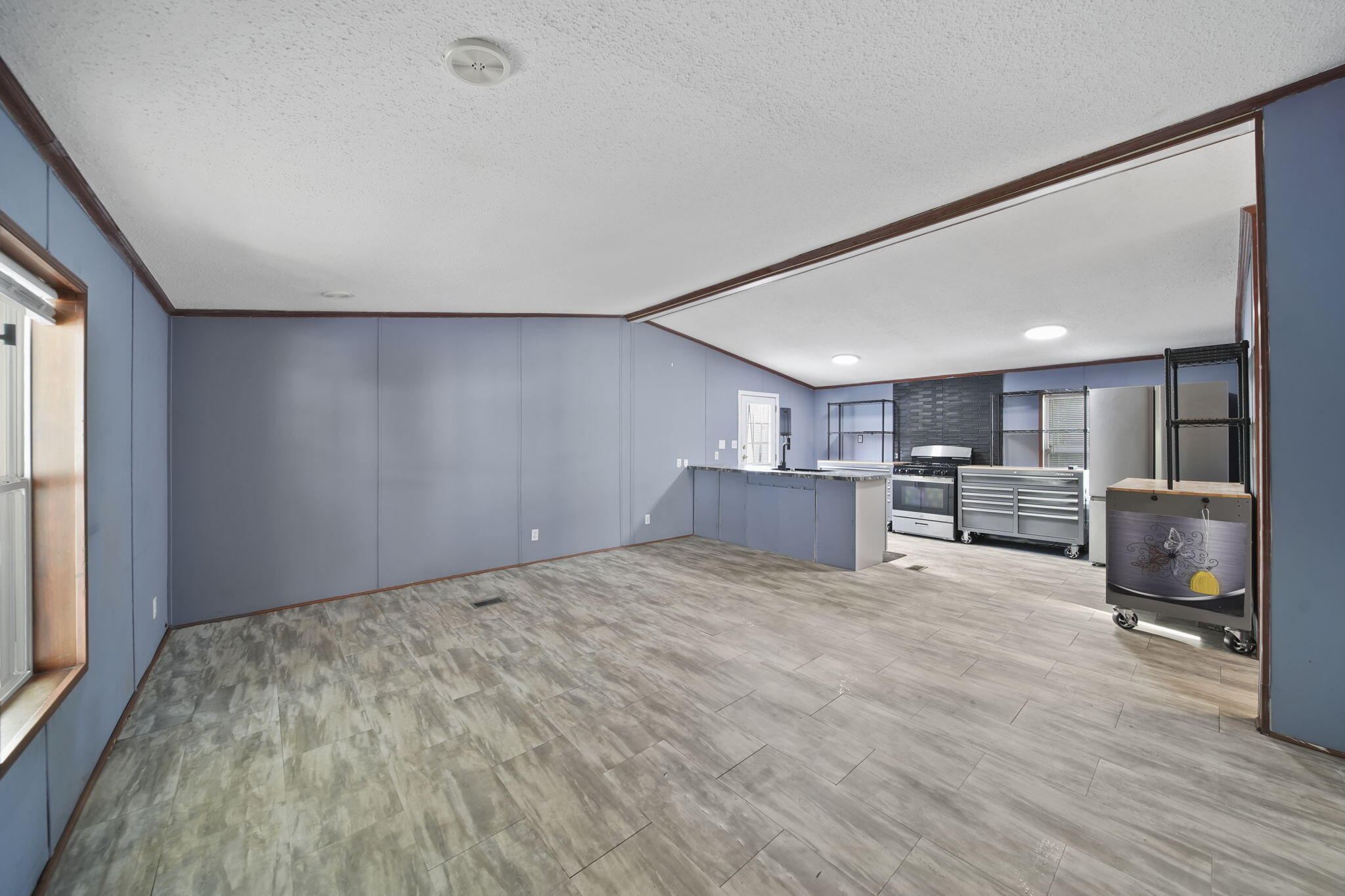 217 Red River Drive Adrian City MI 49221