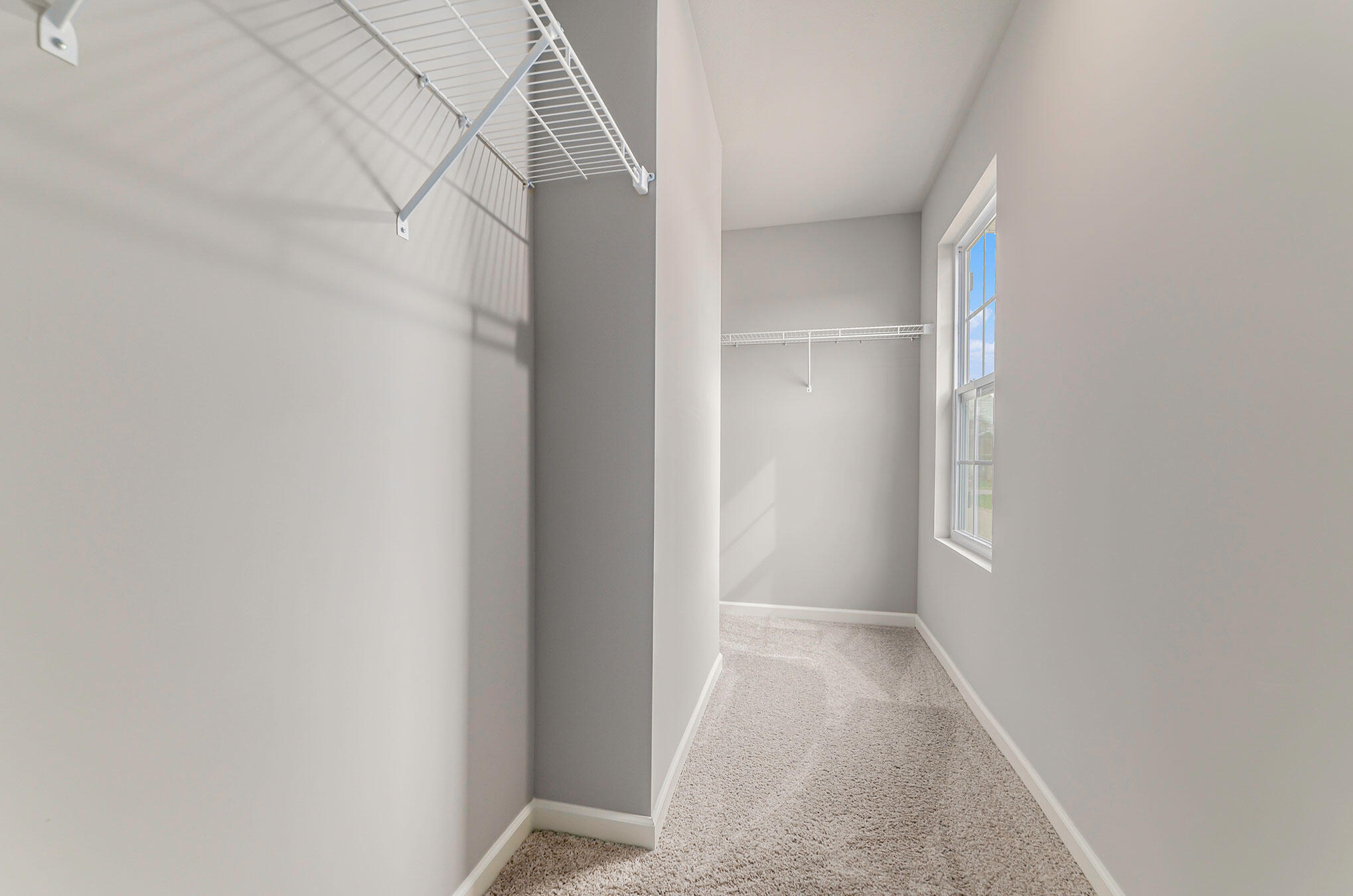 1173 Anna Lane Royalton Township MI 49085