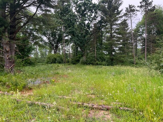 2714 E Hawley Road Eden Township MI 49405