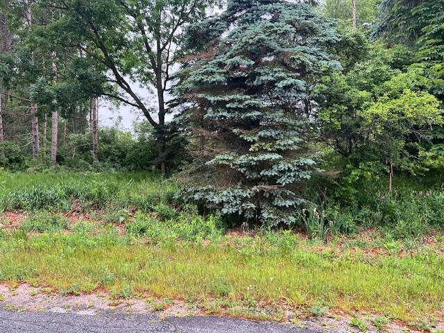 2714 E Hawley Road Eden Township MI 49405