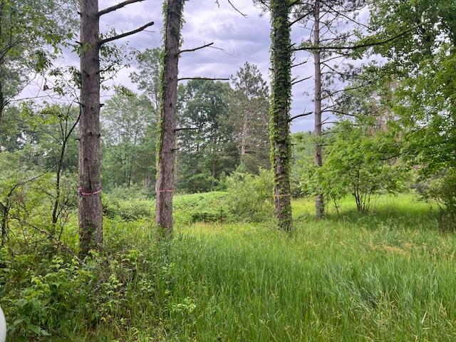 2714 E Hawley Road Eden Township MI 49405