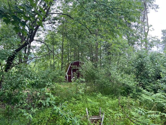 2714 E Hawley Road Eden Township MI 49405