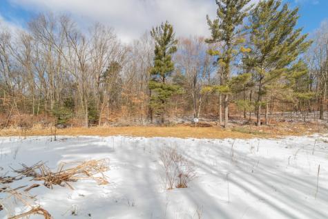 9848 90TH Avenue Morton Township MI 49332