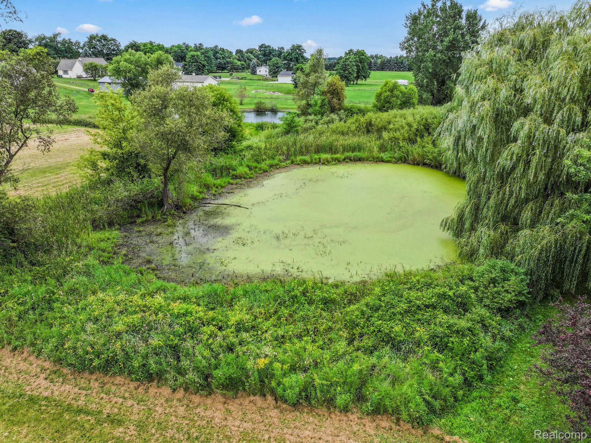 6051 Hough Road Almont Township MI 48003