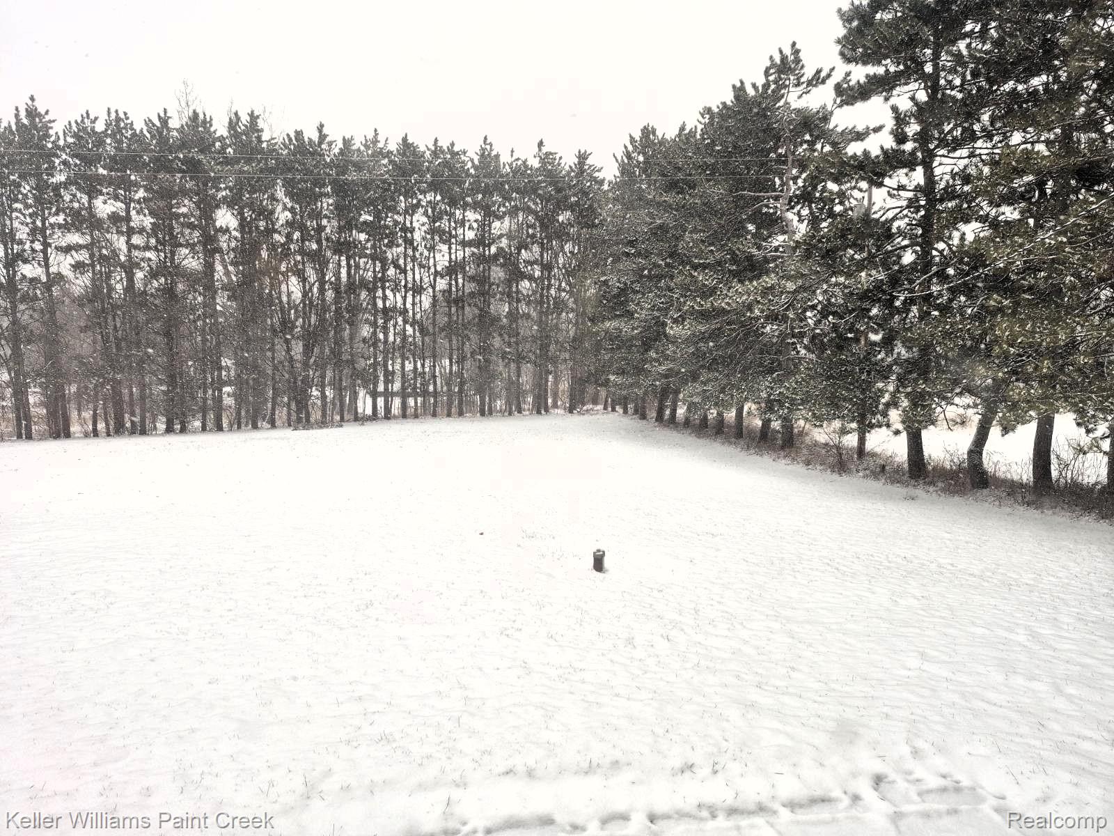 6373 Hall Road Almont Township MI 48428