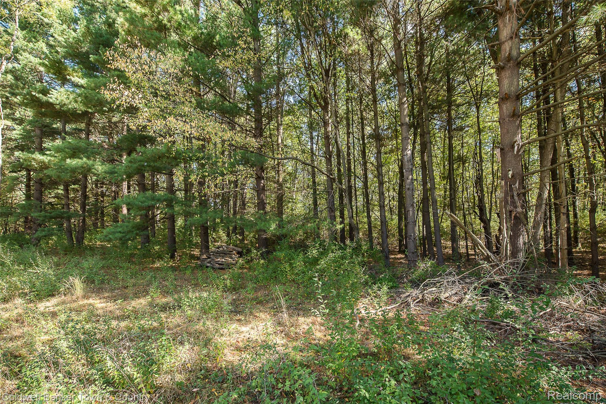 2223 Hidden Valley Road Marion Township MI 48843