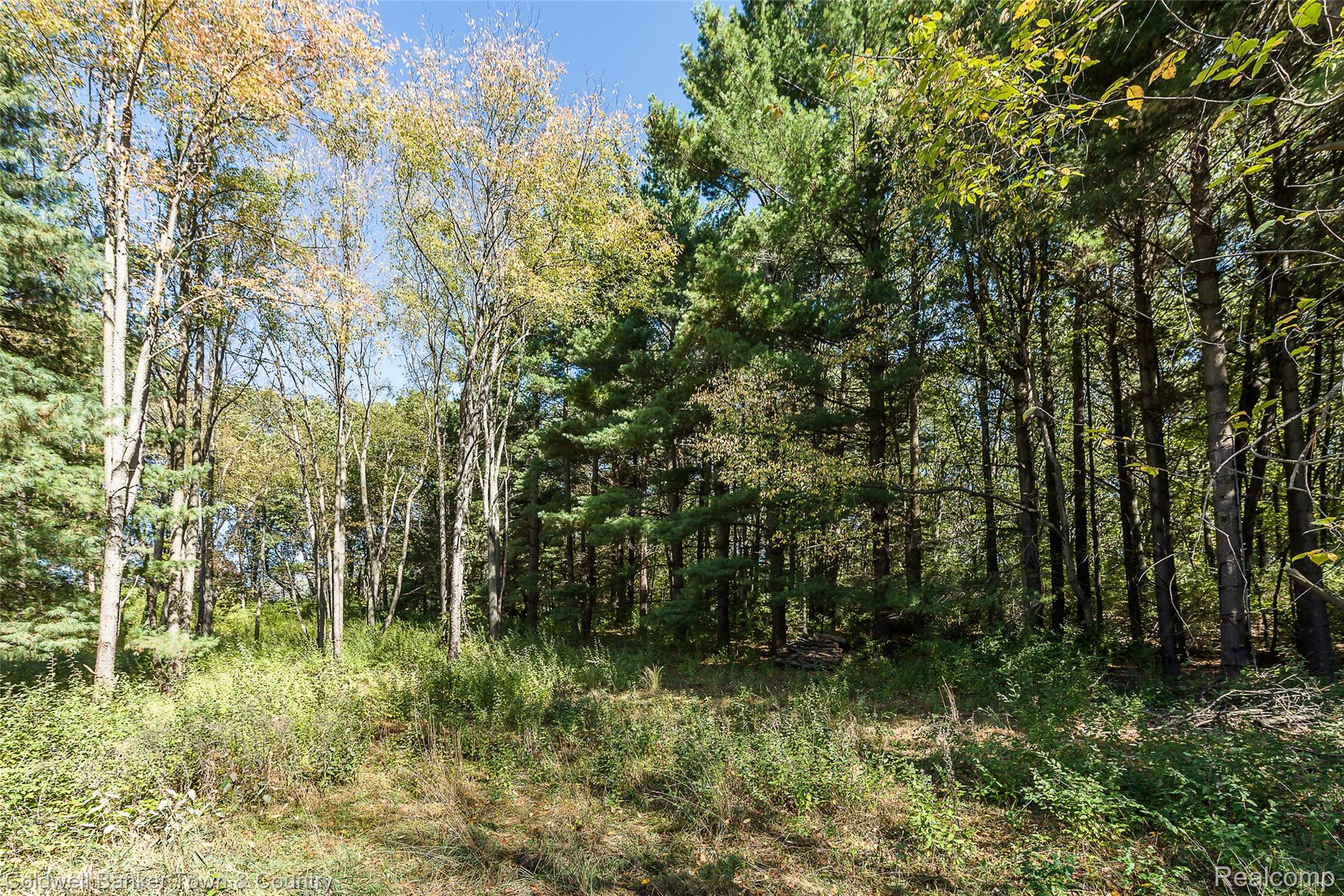 2223 Hidden Valley Road Marion Township MI 48843