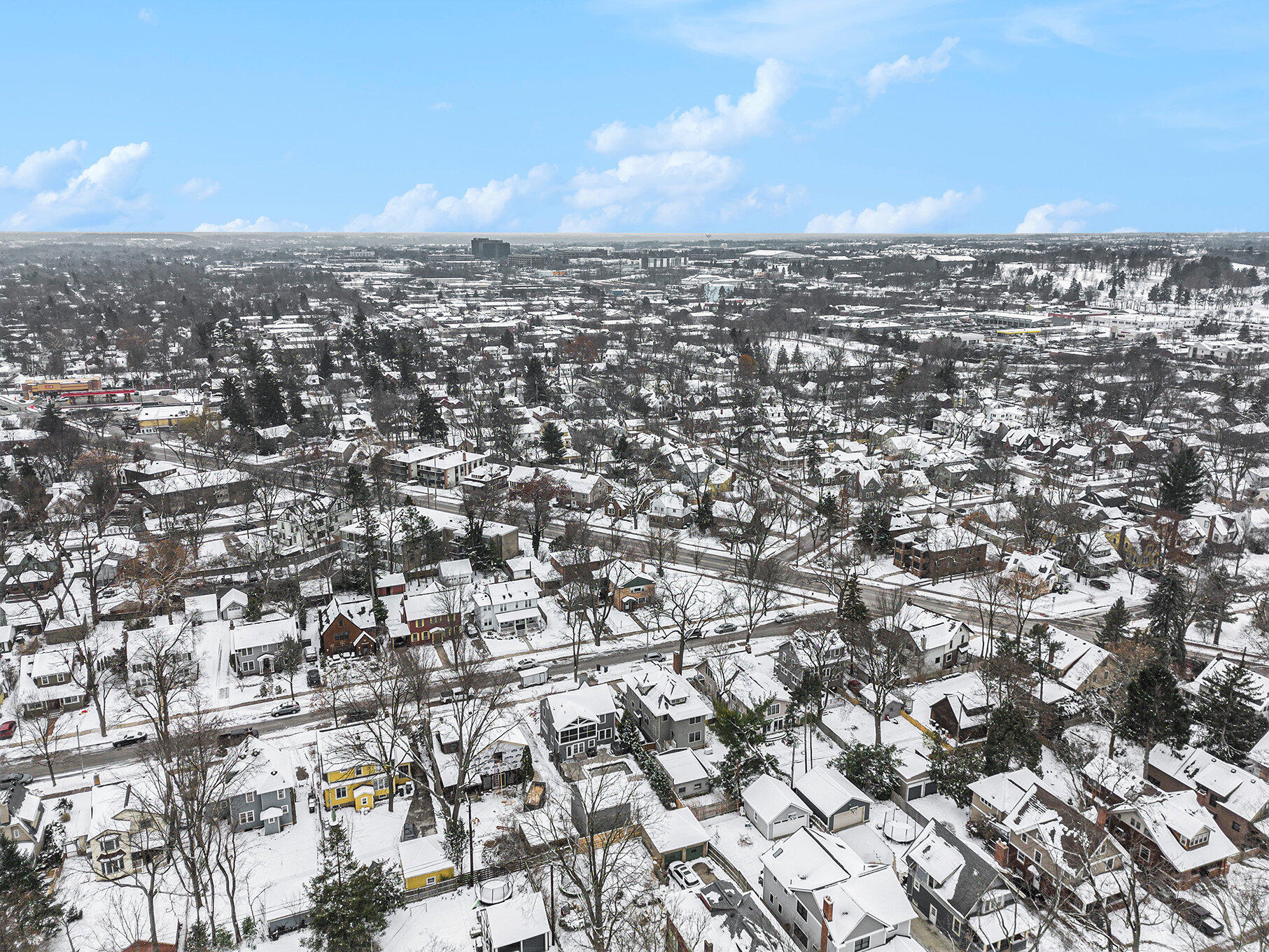 1224 Olivia Avenue Ann Arbor City MI 48104