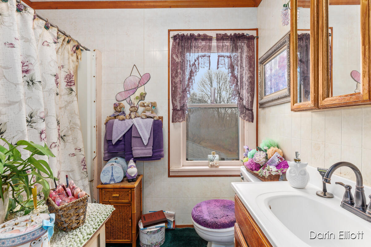 1894 N State Road Ionia Township MI 48846