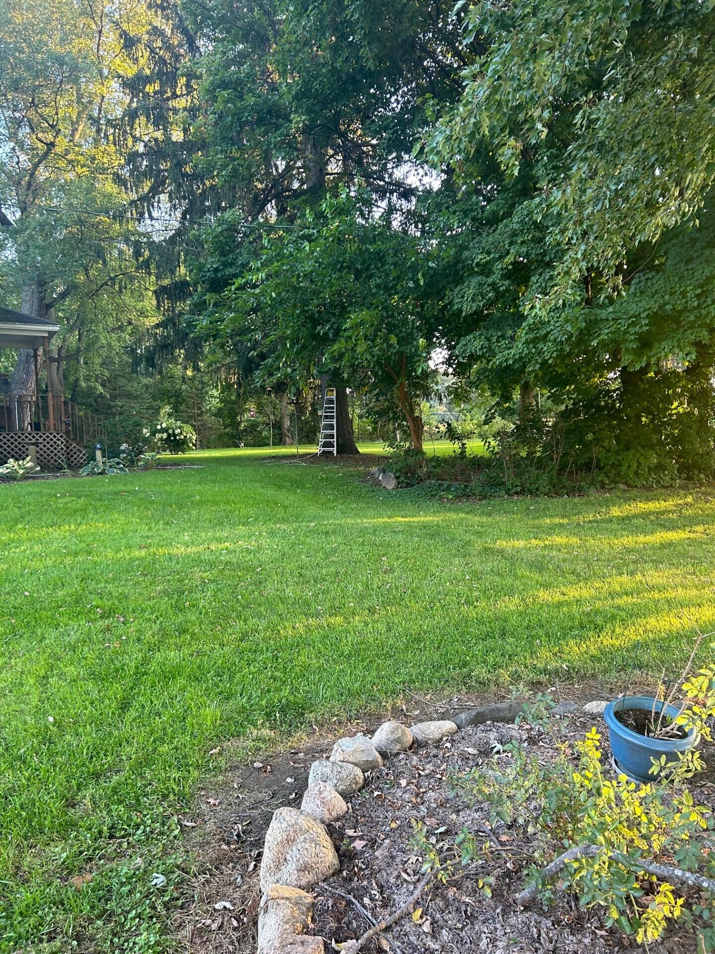 1894 N State Road Ionia Township MI 48846
