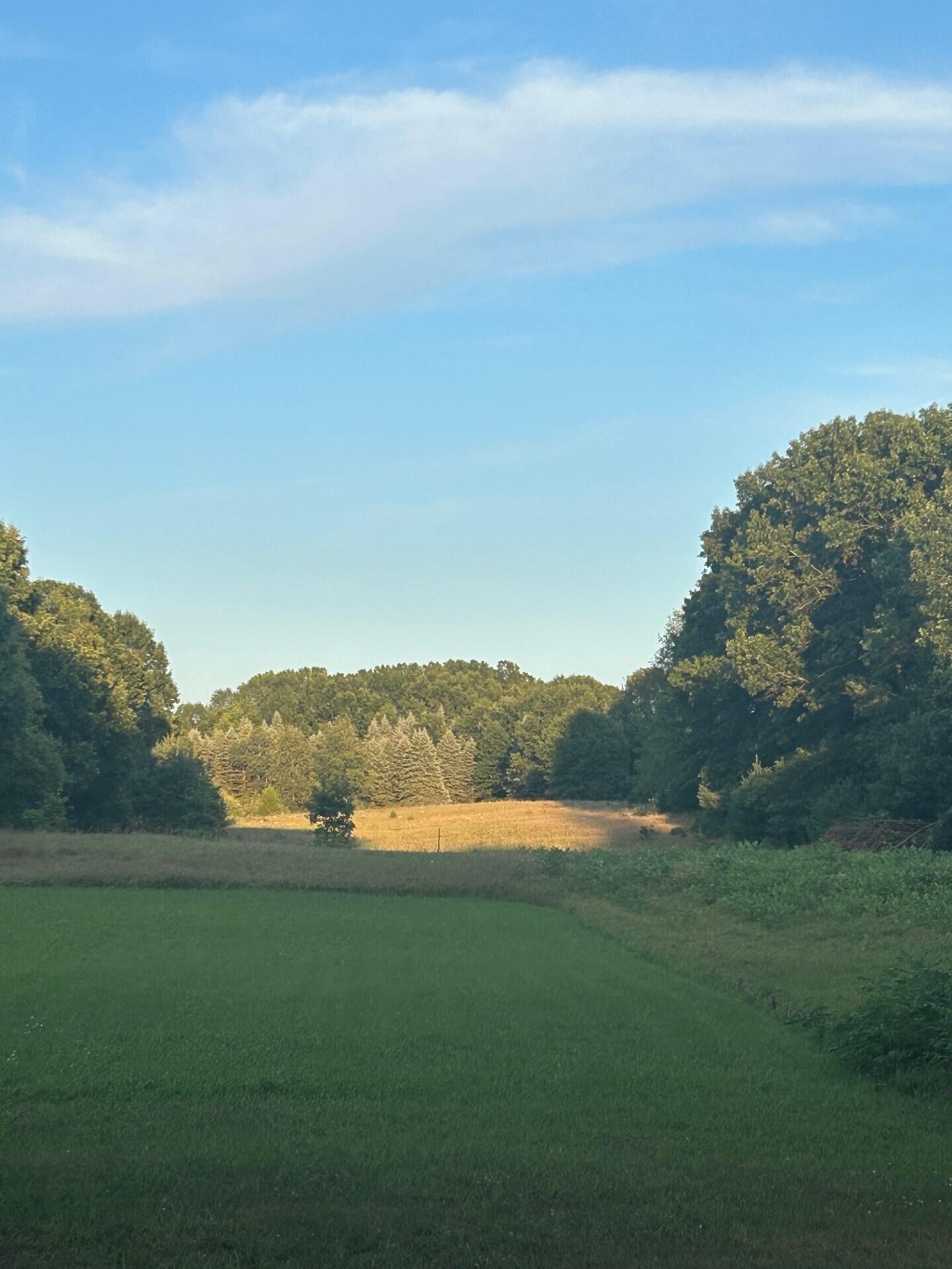 1894 N State Road Ionia Township MI 48846