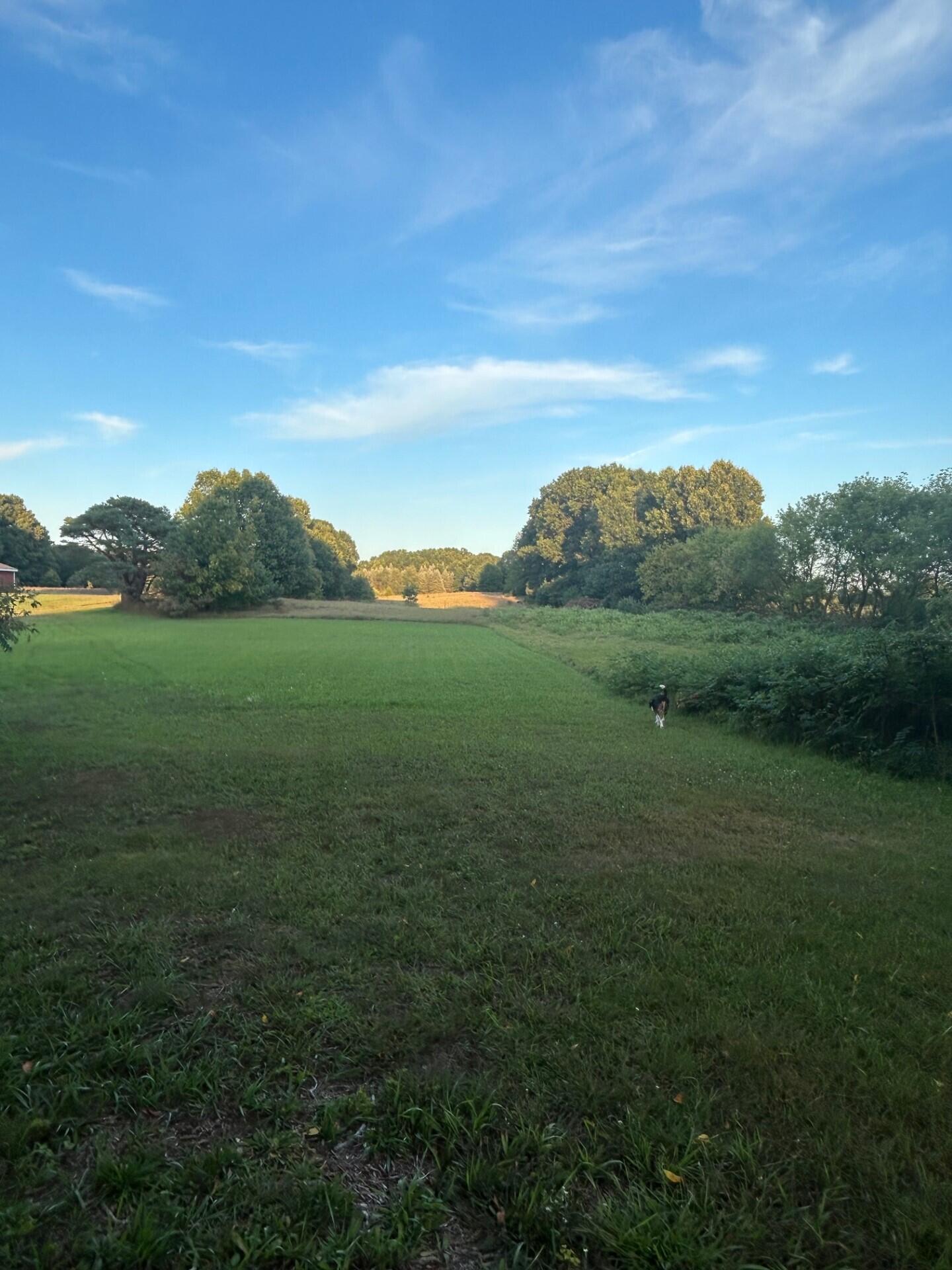 1894 N State Road Ionia Township MI 48846