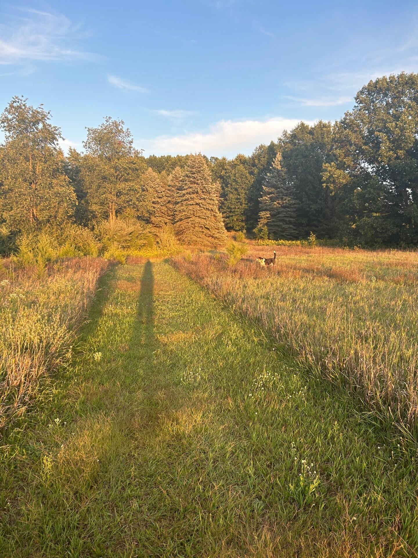1894 N State Road Ionia Township MI 48846