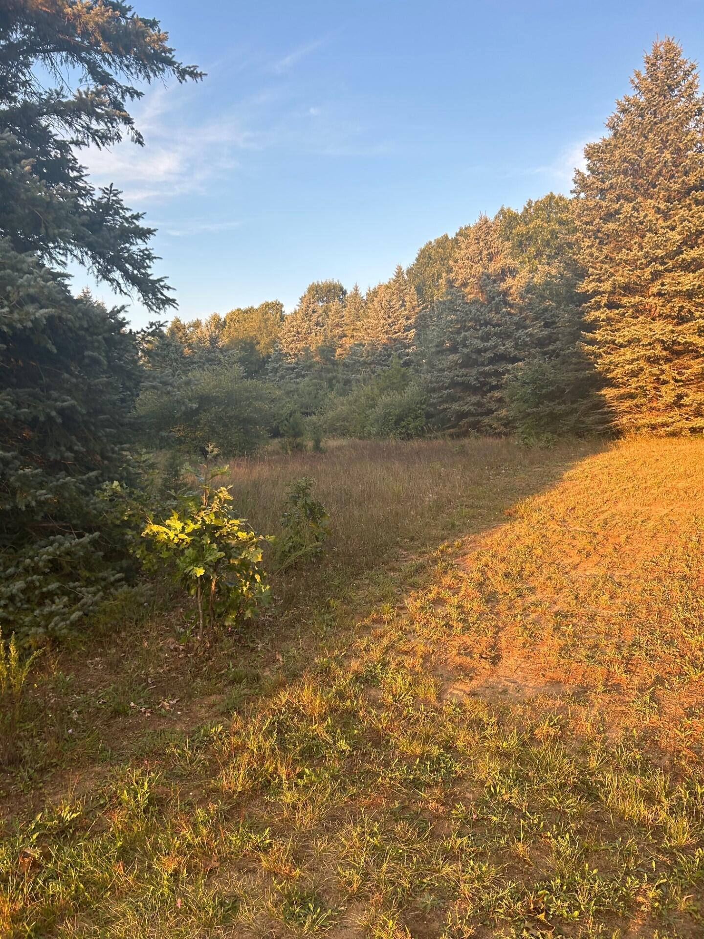 1894 N State Road Ionia Township MI 48846