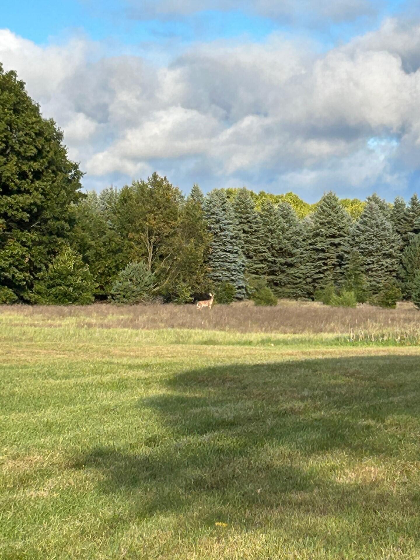1894 N State Road Ionia Township MI 48846