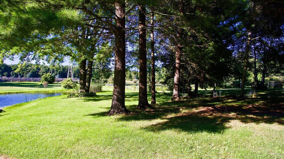 11640 W Monroe Road Seville Township MI 48877