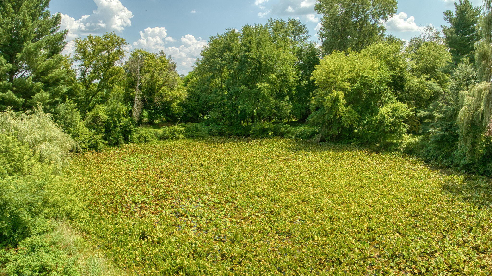 7295 N Gibbs Road Parma Township MI 49224