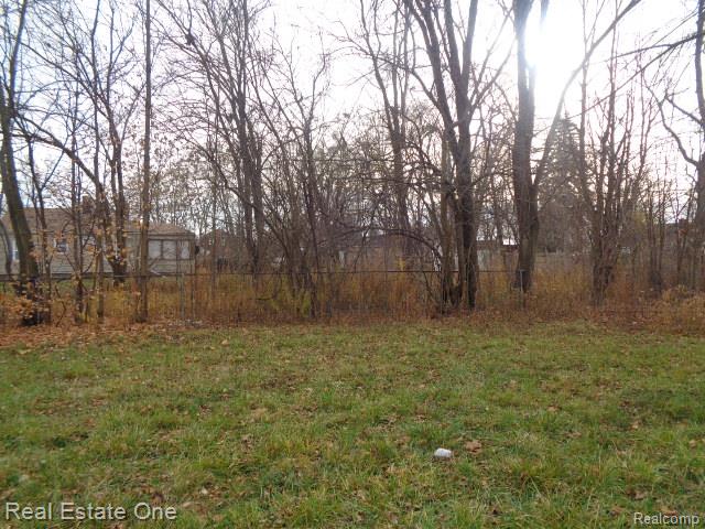 19987 Carrie Street Detroit City MI 48234