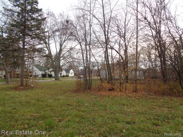 19987 Carrie Street Detroit City MI 48234