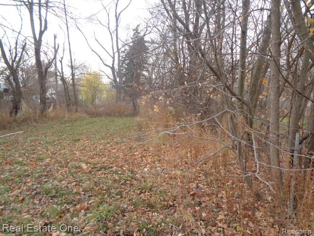 19987 Carrie Street Detroit City MI 48234