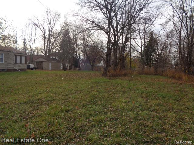 19987 Carrie Street Detroit City MI 48234