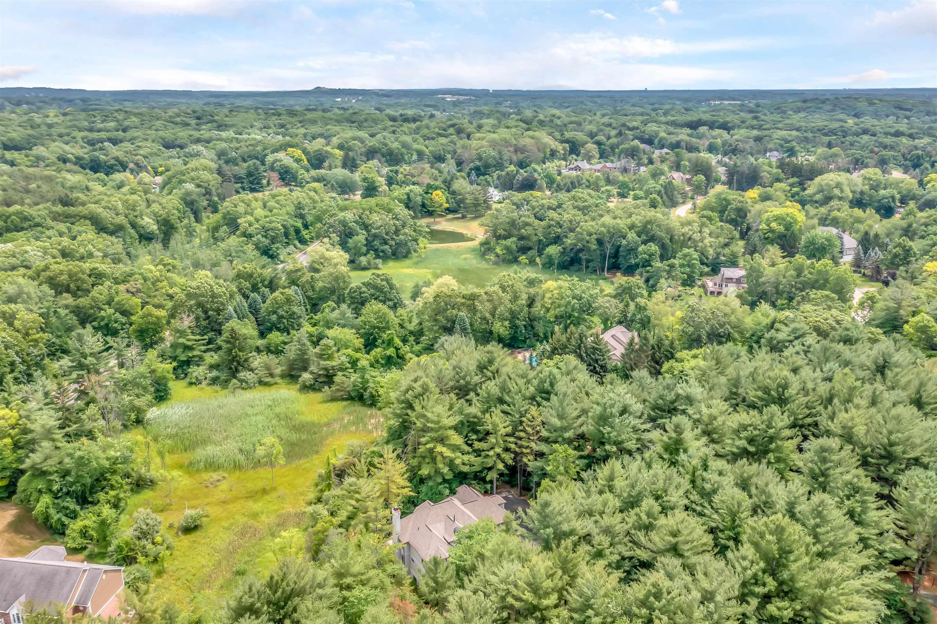 7949 Bridge Valley Drive Village Of Clarkston City MI 48348